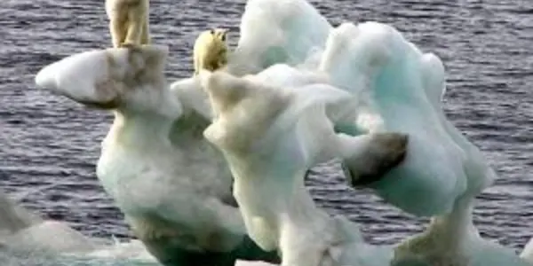 Climate Change Only One Symptom Of A Stressed Planet Earth