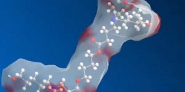 Biodegradable Polymers For Safer Gene Therapy