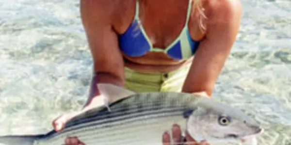 Queer As Fish: Estrogen in Pittsburgh rivers