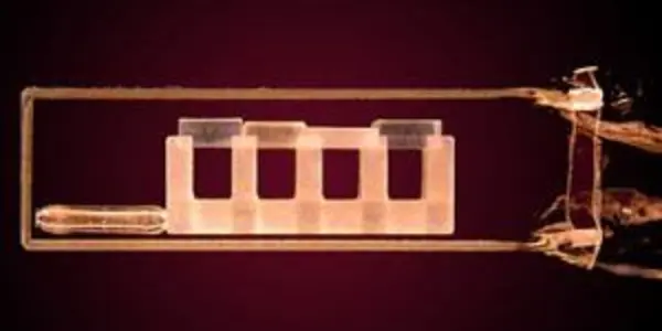 Measurements Recast Usual View Of Casimir-Polder Force In Quantum Mechanics