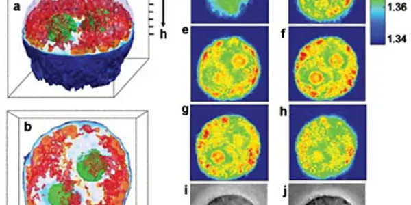 MIT creates 3D images of living cell