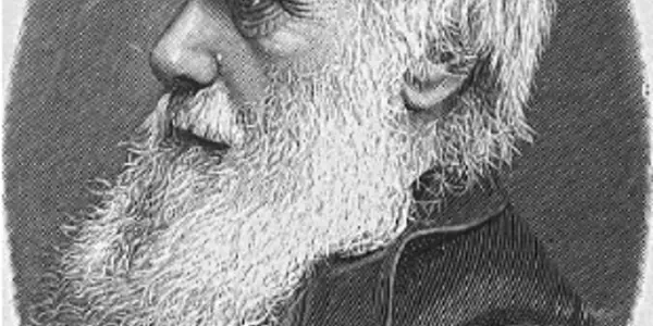 Darwin Day 2008