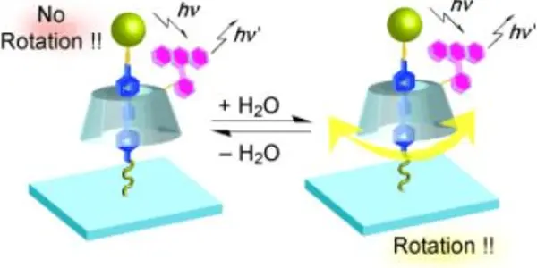 Nanorotors Detected Doing The Molecular Hula Hoop
