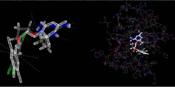 From Sheffield To Singapore, International Computing Grid Battles Malaria
