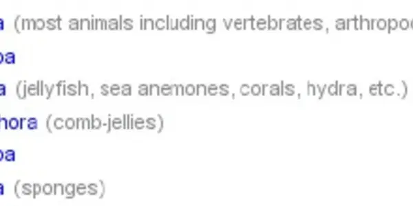 Phylogenetic Fallacies: Early Branching Must Mean Primitive