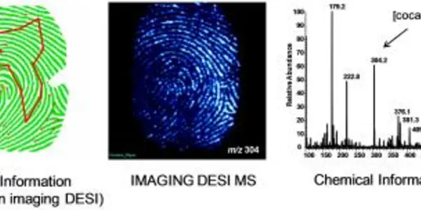 DESI Gives Fingerprinting Some New Respect