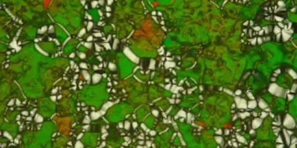 Liquid Crystal Phases Of DNA Molecules Suggest New Scenario For First Life On Earth