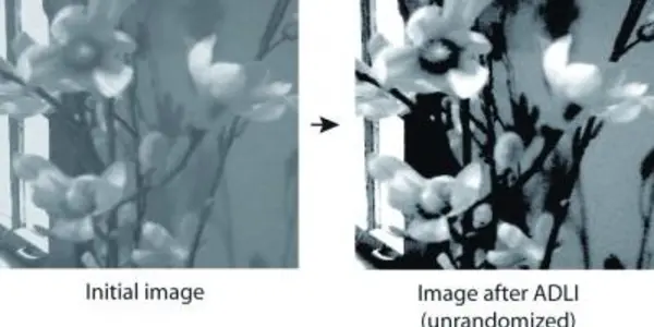 Understanding Smell: How The Brain Rewires Neuronal Circuits 'On The Fly'