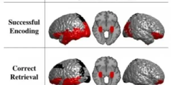 Gamma Oscillations Distinguish True from False Memories