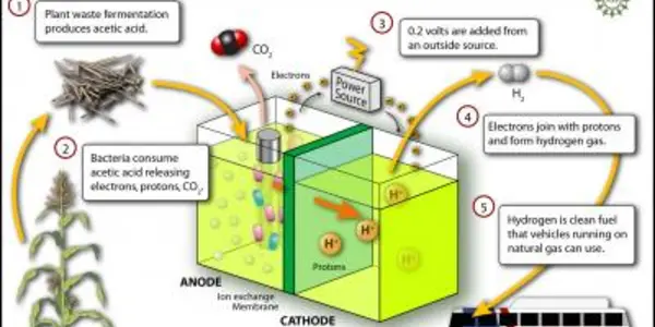 Microbial Electrolysis Cell - Turning Bacteria Into Hydogen Machines