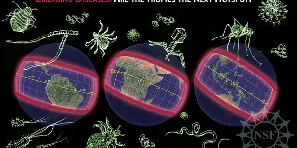 Visit The Tropics, Catch An Emerging Disease