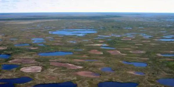 Subarctic Lakes Drying Up At A Rate Not Seen For 200 Years