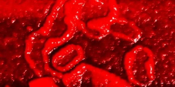 Featured Image