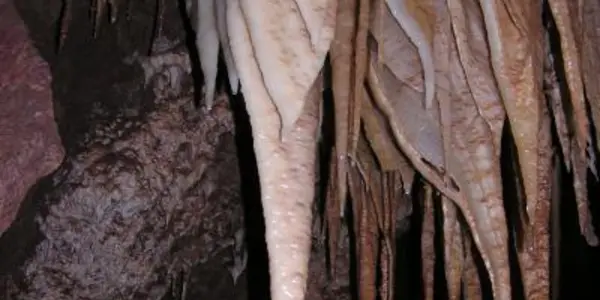 Arizona, And A Living Desert Underground
