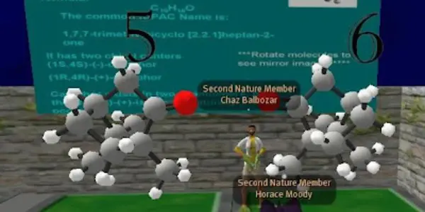 Camphor in Second Life
