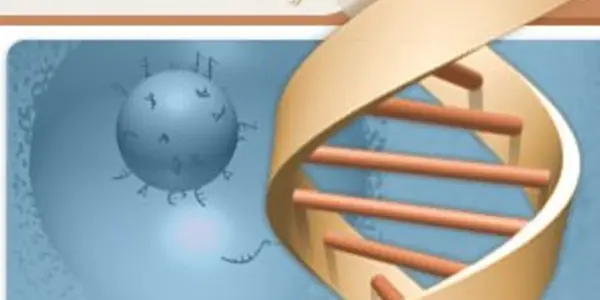 Personalized Genetics/Genomics: Interview with Steven Murphy, MD