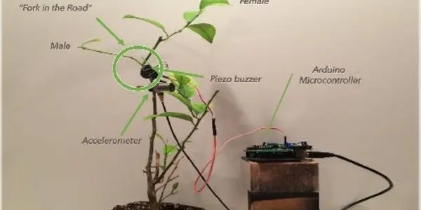 Fighting Citrus Greening With Vibrating Orange Groves