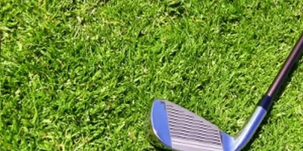 Golf Science: Making Divot Resistant Grass