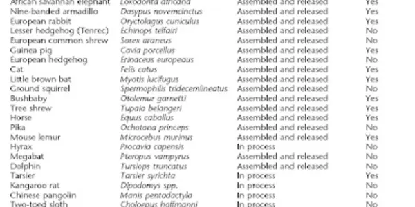 Are you a cat genome person or a dog genome person?