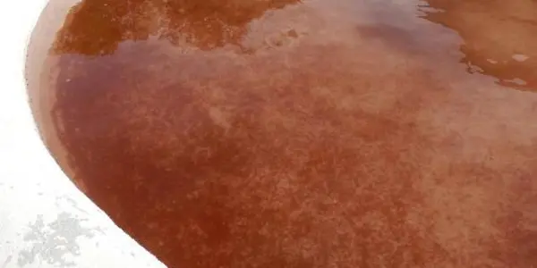 Blood Rain In Spain