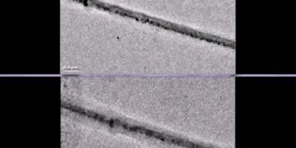 Ebb, Flow, Swell - What A Battery Really Looks Like Inside