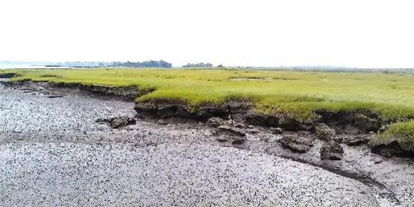 Normal Weather Drives Salt Marsh Erosion