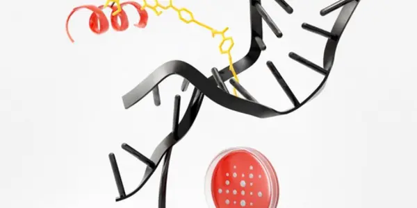 Featured Image