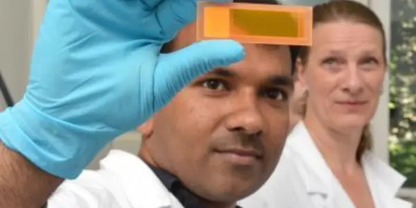 Fast Test For Bubonic Plague Developed