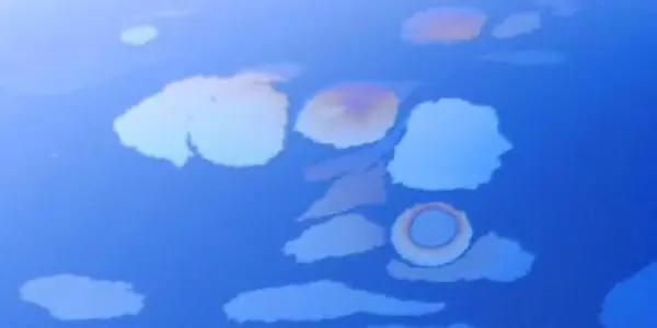 In Gulf Of Mexico, Microbes Thrive Above Natural Oil Seeps