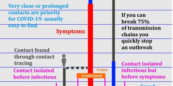 WHO Says Physical Distancing For COVID-19 Only Buys Time, Contact Tracing Is How To CRUSH This Virus And Win