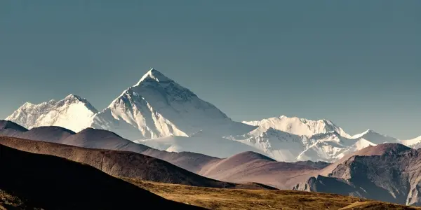 Featured Image