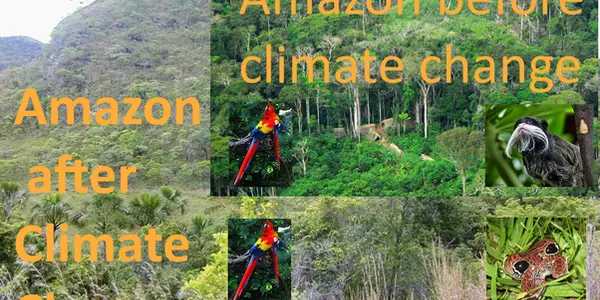 Yes, With Climate Change, Our Children Can Grow Up In A World Of Nature, Wonder - And Prosperity