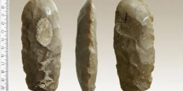 Higher-Order Executive Function Went Into Making A Stone Age Axe