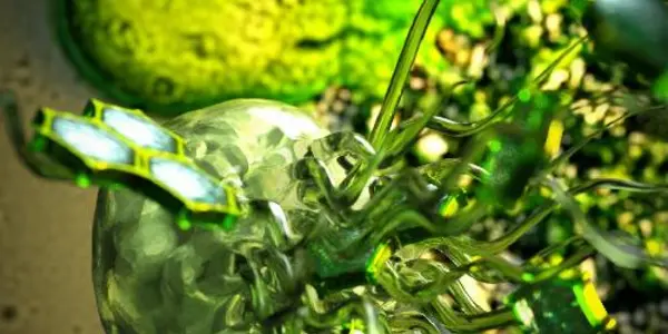 Harnessing Gut Fungi Of Herbivores To Break Down Biomass