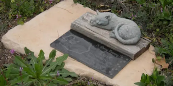When Children Grieve