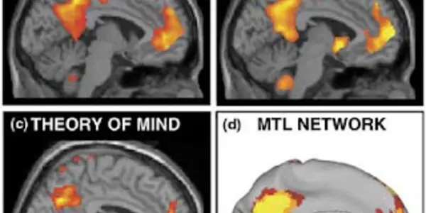The Faculty of Imagination: Neural Substrates and Mechanisms