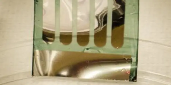 It Turns Out Trees Are Recyclable, Efficient Solar Cells