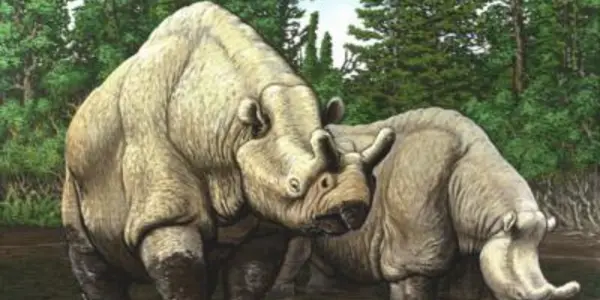 Mammals And Ancient Climate Change: A Quantitative Discovery