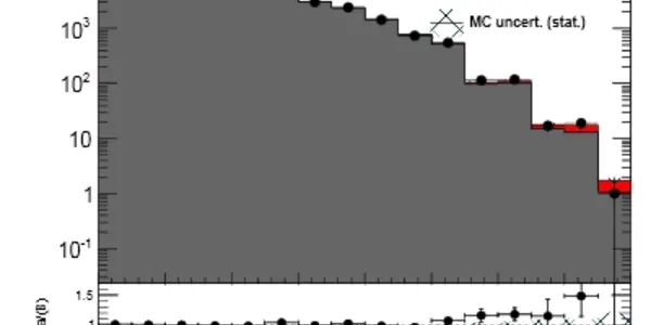 Higgs Decays To B-Quarks From CMS