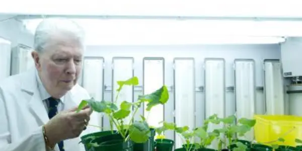 N-Fix: Enabling Crops To Take Nitrogen From The Air