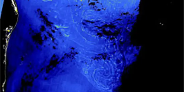 Legendary Sargassum seen from space for first time