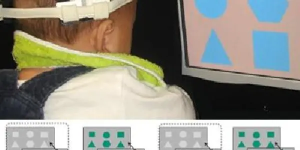 Sapir-Wharf Hypothesis: Pre-Linguistic Infants Can Categorize Colors