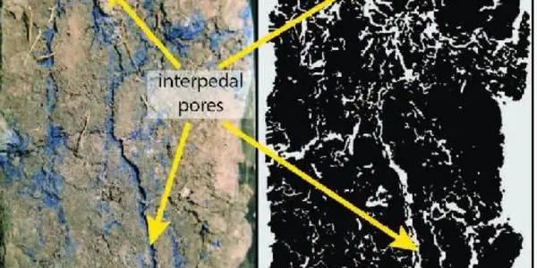 The Secret Life In Soil Revealed