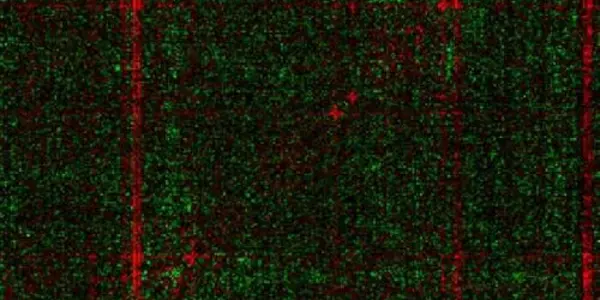 Yeast Study Charts Survival Impact Of Genetic Mutations