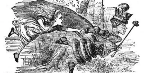 Red Queen Hypothesis Right: Species Are Not In Equilibrium But 'Run To Keep In Place'
