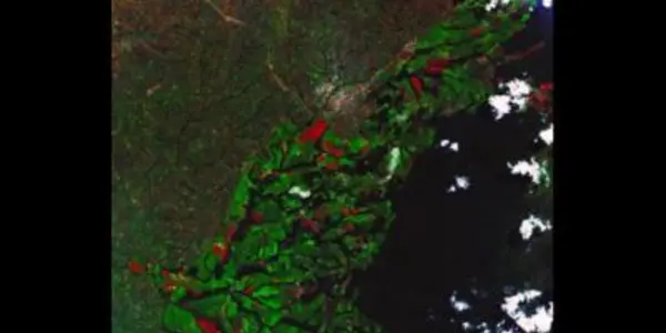 Can Droughts Now Be Predicted?