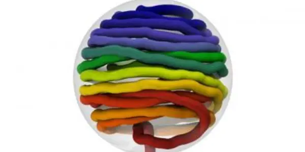 In Viruses, Tidy Knots Are Faster