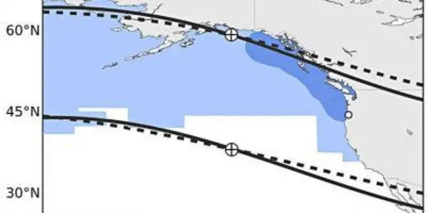 Magnets, Migration And Fish