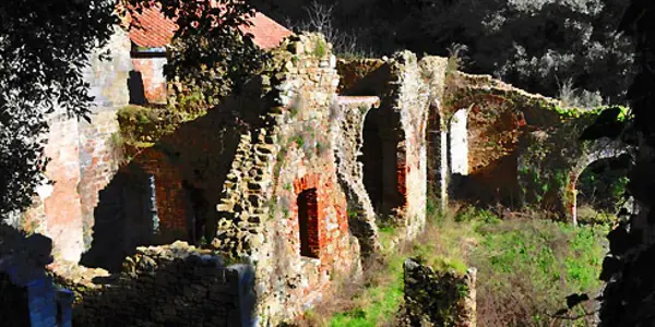 Featured Image