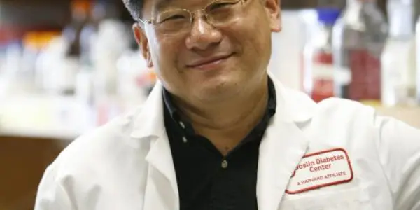 Natural Killer Cells Help To Drive Inflammation And Insulin Resistance